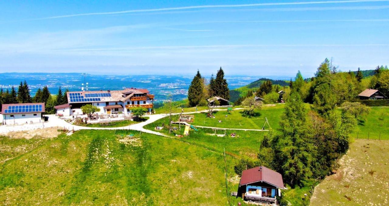 Appartamento Holzhaus "Zum Schwarz'N" Aurach am Hongar Esterno foto