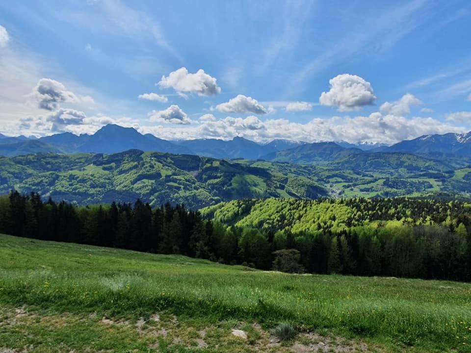 Appartamento Holzhaus "Zum Schwarz'N" Aurach am Hongar Esterno foto