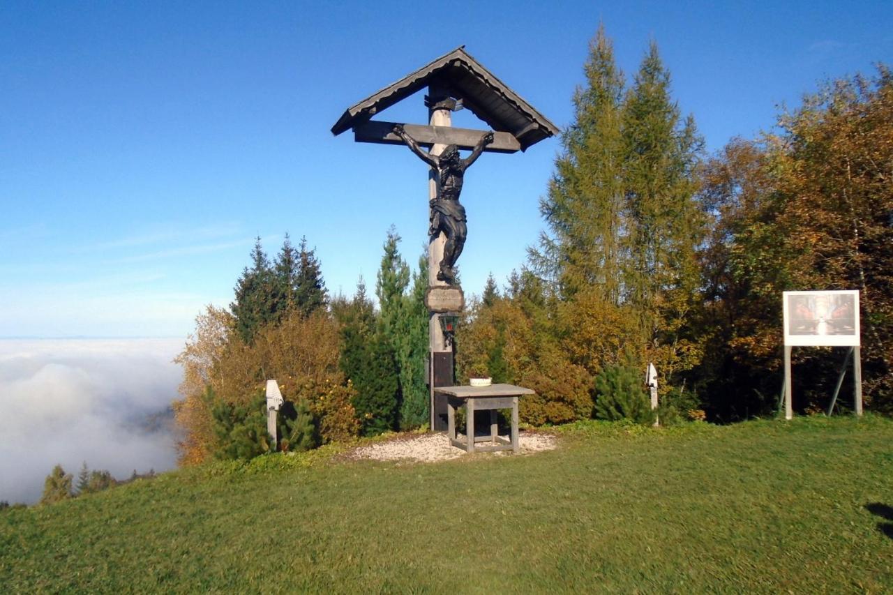 Appartamento Holzhaus "Zum Schwarz'N" Aurach am Hongar Esterno foto