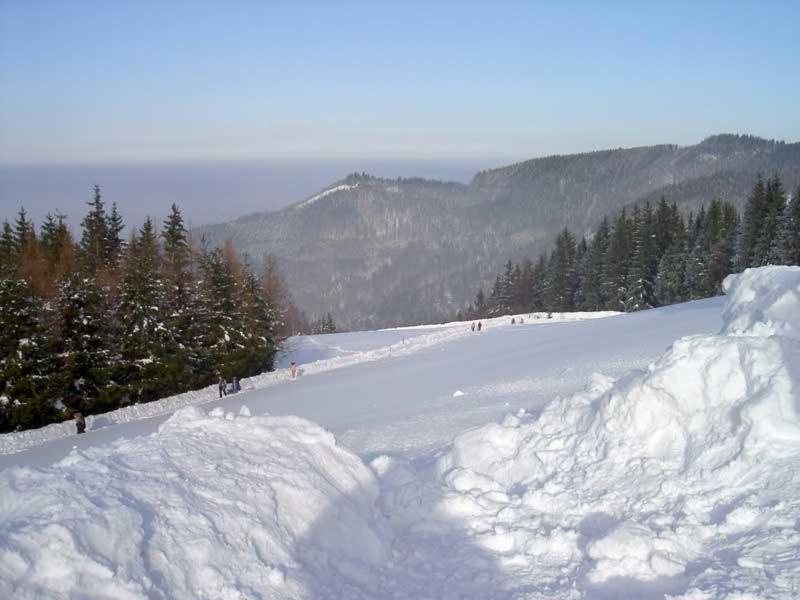 Appartamento Holzhaus "Zum Schwarz'N" Aurach am Hongar Esterno foto