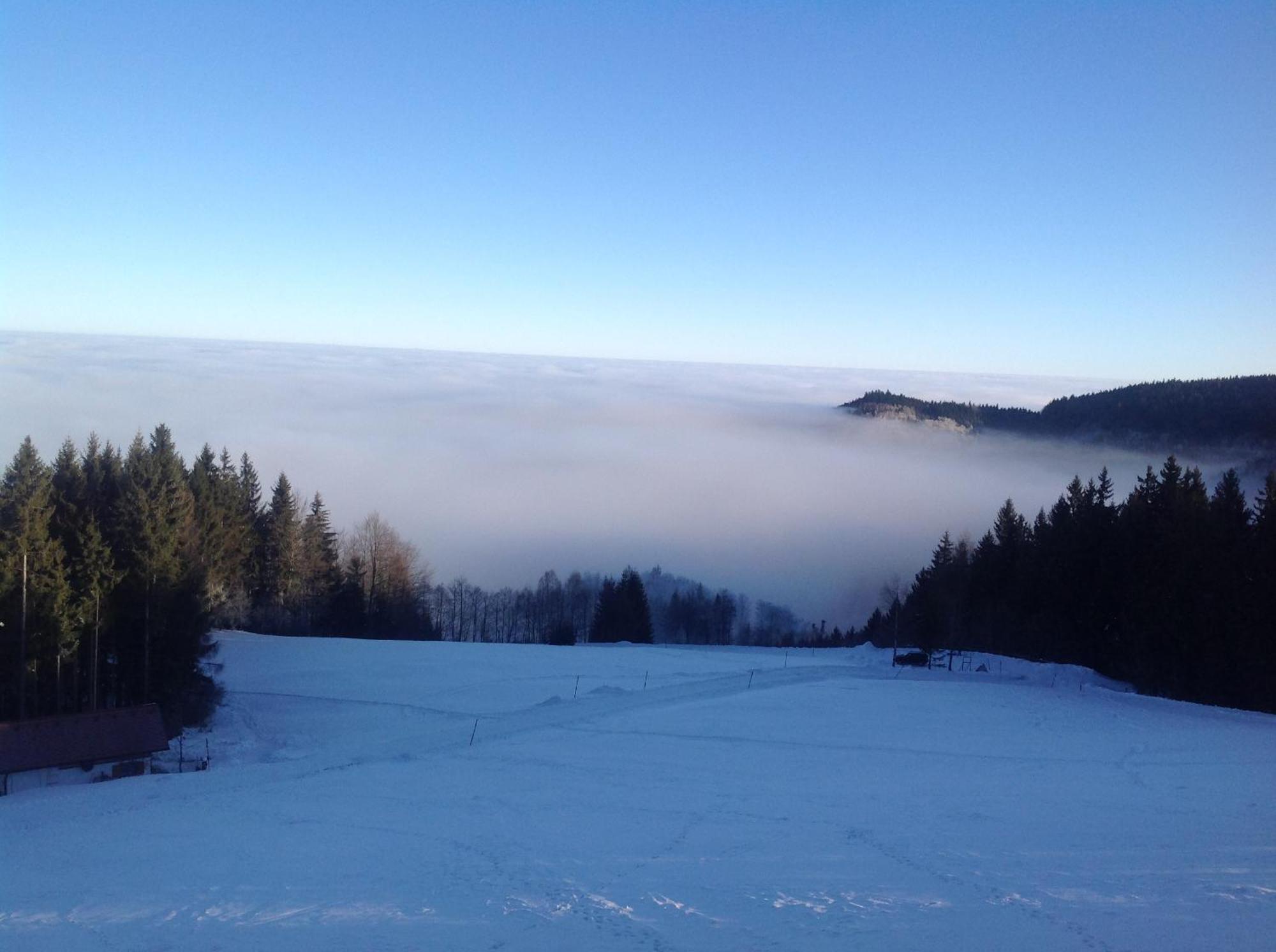 Appartamento Holzhaus "Zum Schwarz'N" Aurach am Hongar Esterno foto