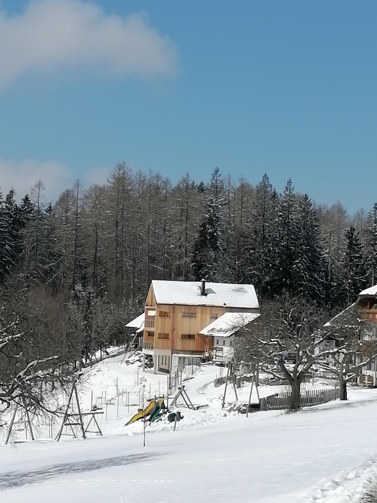 Appartamento Holzhaus "Zum Schwarz'N" Aurach am Hongar Esterno foto