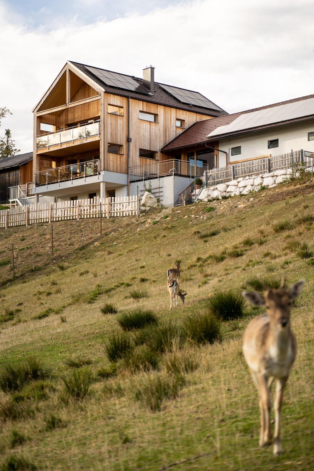 Appartamento Holzhaus "Zum Schwarz'N" Aurach am Hongar Esterno foto
